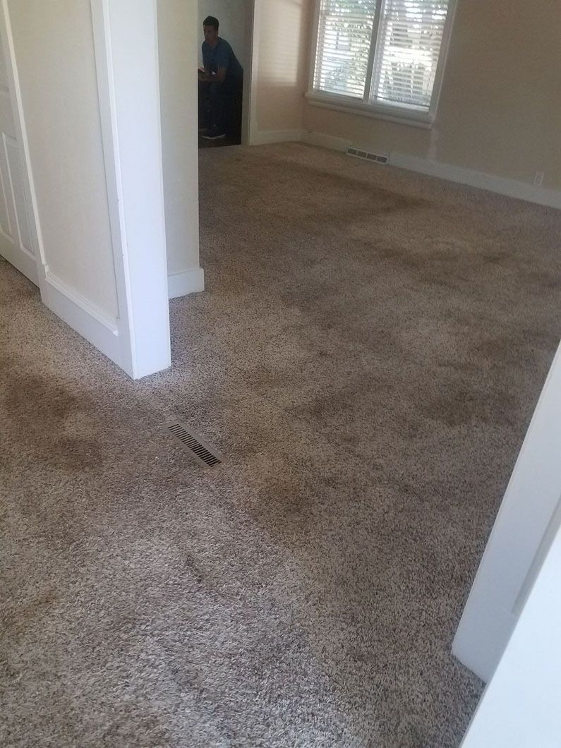 Empty carpeted room with windows and a person standing near the back wall