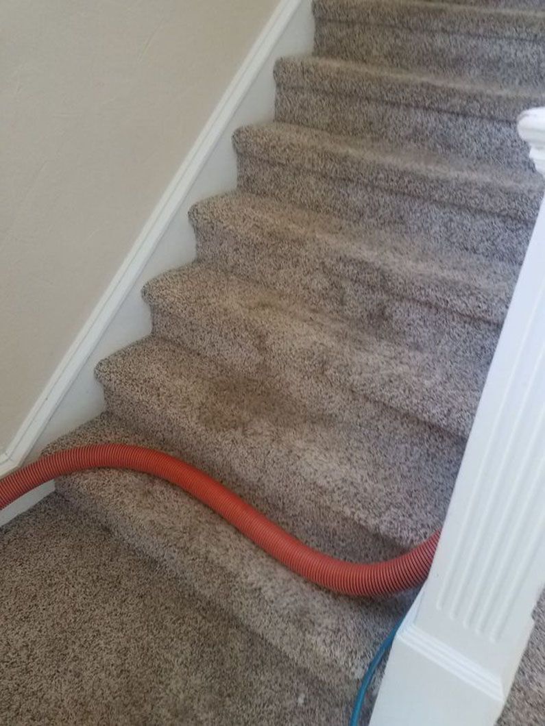 Red vacuum hose stretched across a carpeted staircase near a white banister.