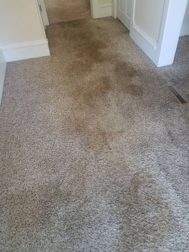 Beige carpeted hallway with white walls and a doorway opening to a room