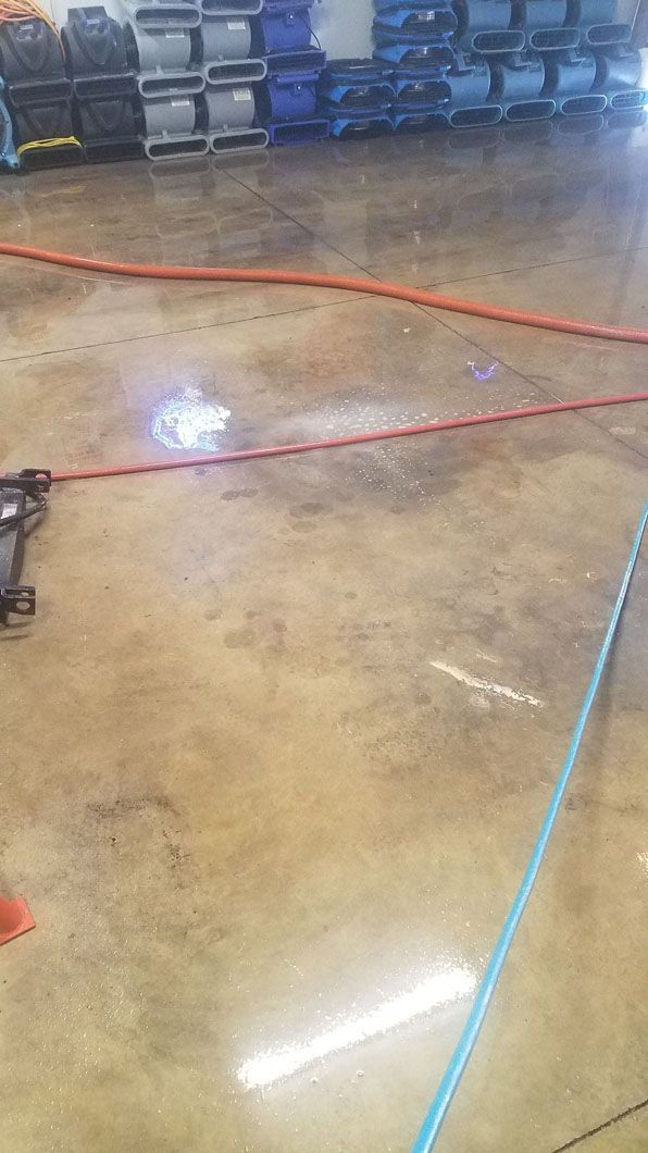 Warehouse floor with red and blue lines taped on polished concrete and stacked pallets in the background
