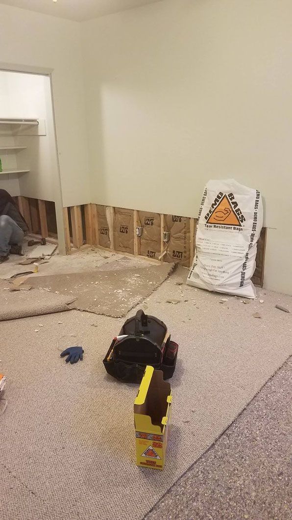Living room with torn carpet, exposed wall studs, and a small yellow-and-black toy on the floor