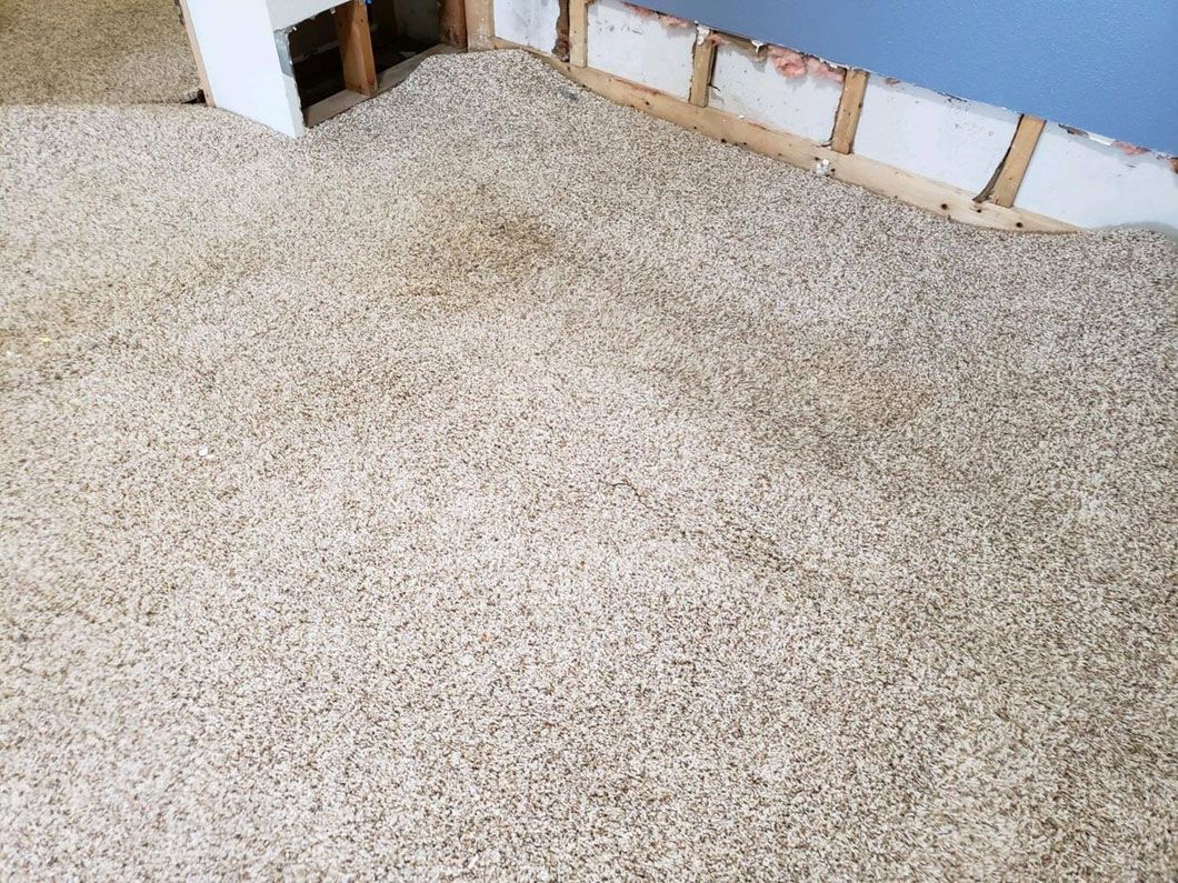 Carpeted floor with a rough, unfinished wall and exposed framing along the top edge