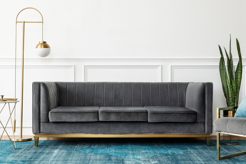 Modern living room with a gray sofa, gold floor lamp, snake plant, and blue rug
