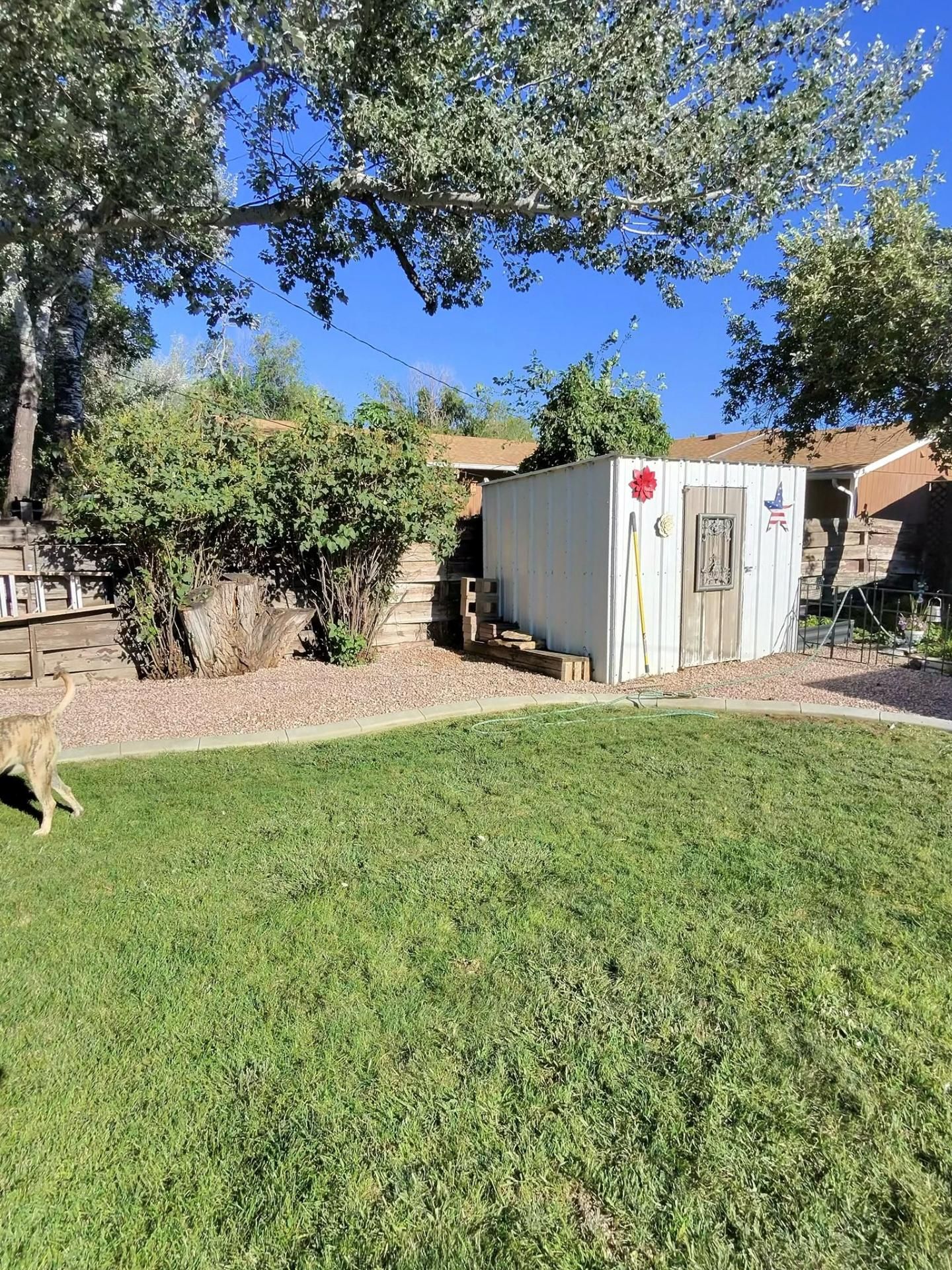 Backyard with green lawn, trees, bushes, and a small shed under a blue sky