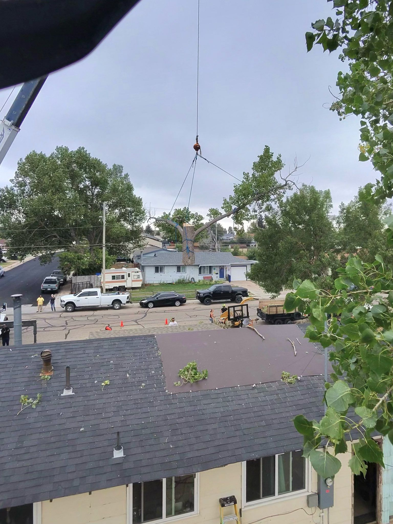 Rooftops with trees and parked cars on a cloudy day, seen from an upper-floor window.