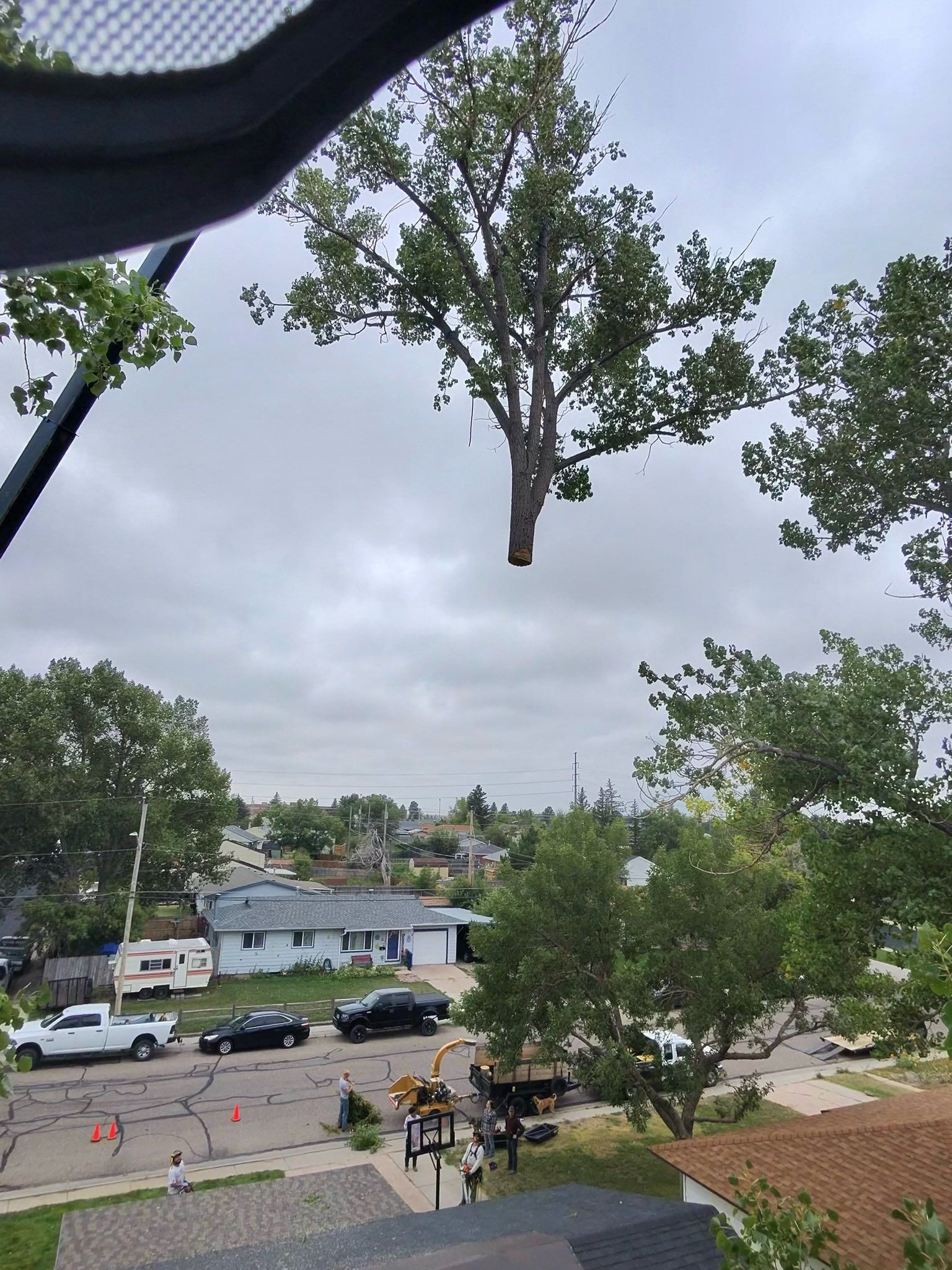 View from a window of a residential street with parked cars, trees, and a cloudy sky.