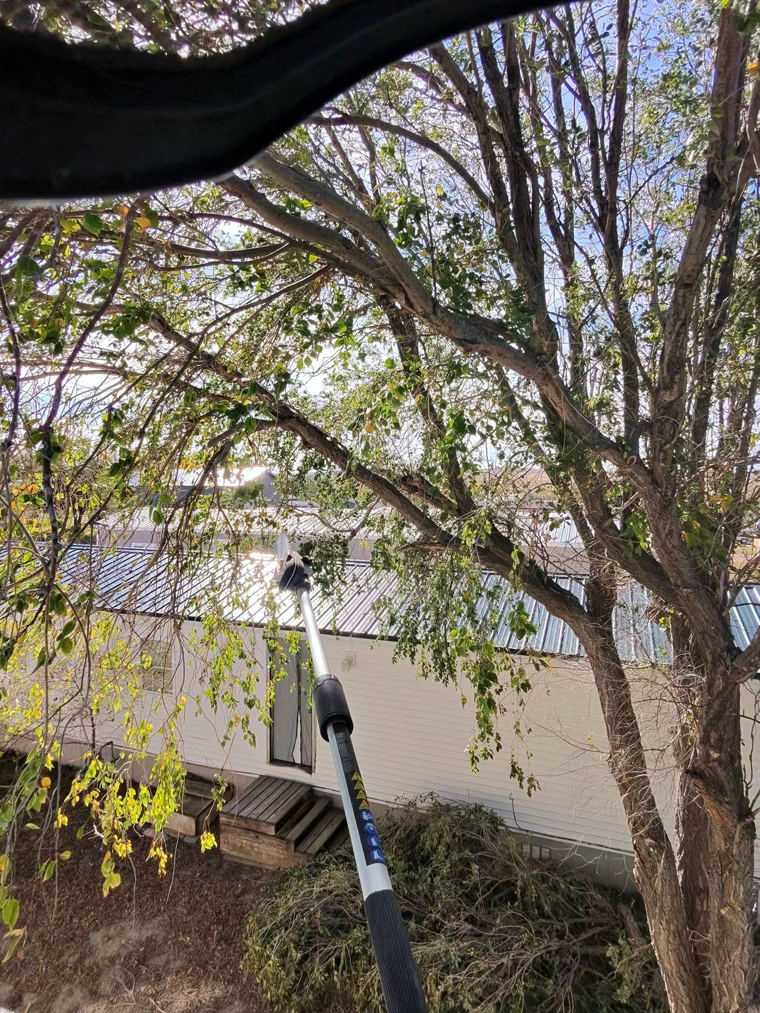 Tree branches overhang a beige house and deck in a sunny backyard.