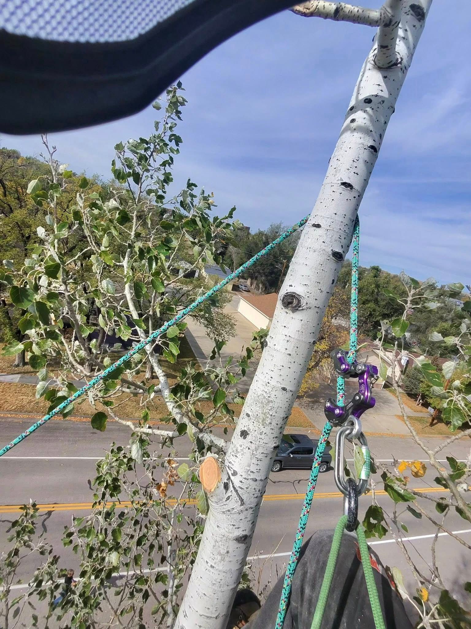 Tangled green and purple ropes on a silver metal pole near a road and trees under a blue sky