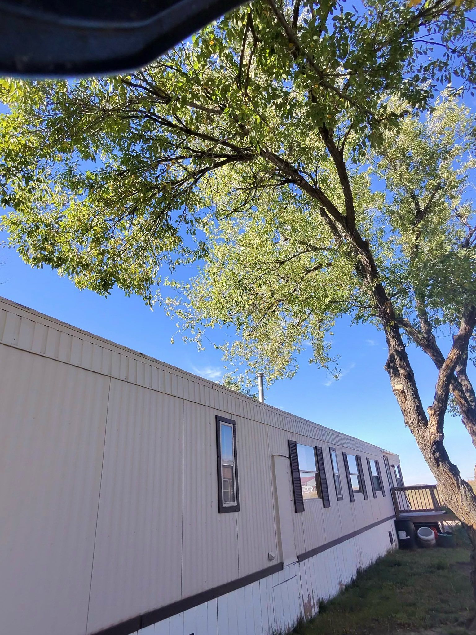 White modular building beside a large leafy tree under a bright blue sky