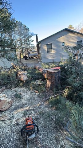 Rural yard with a beige house, cut tree stump, fallen branches, and a chainsaw in the foreground.