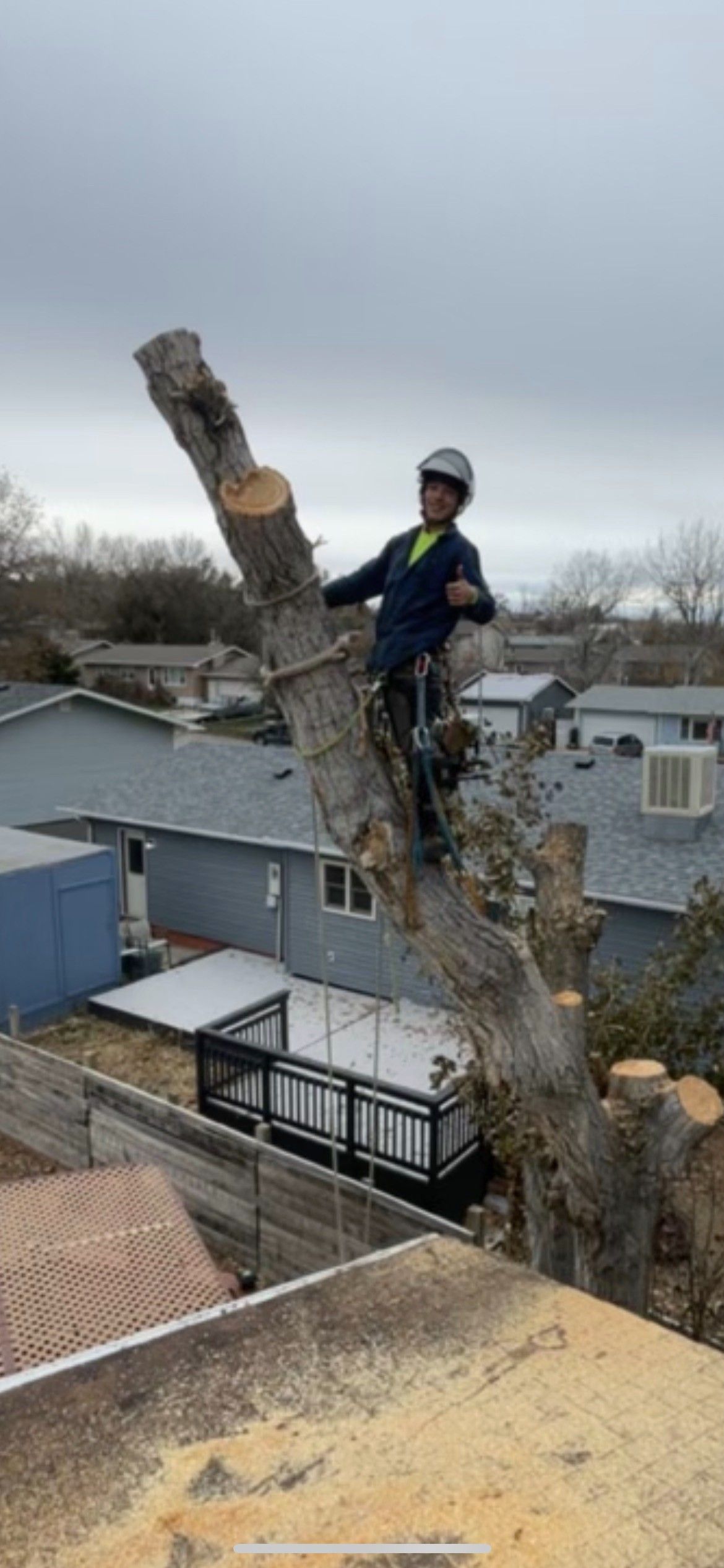 Tree worker trimming a tall branch over rooftops on a cloudy day