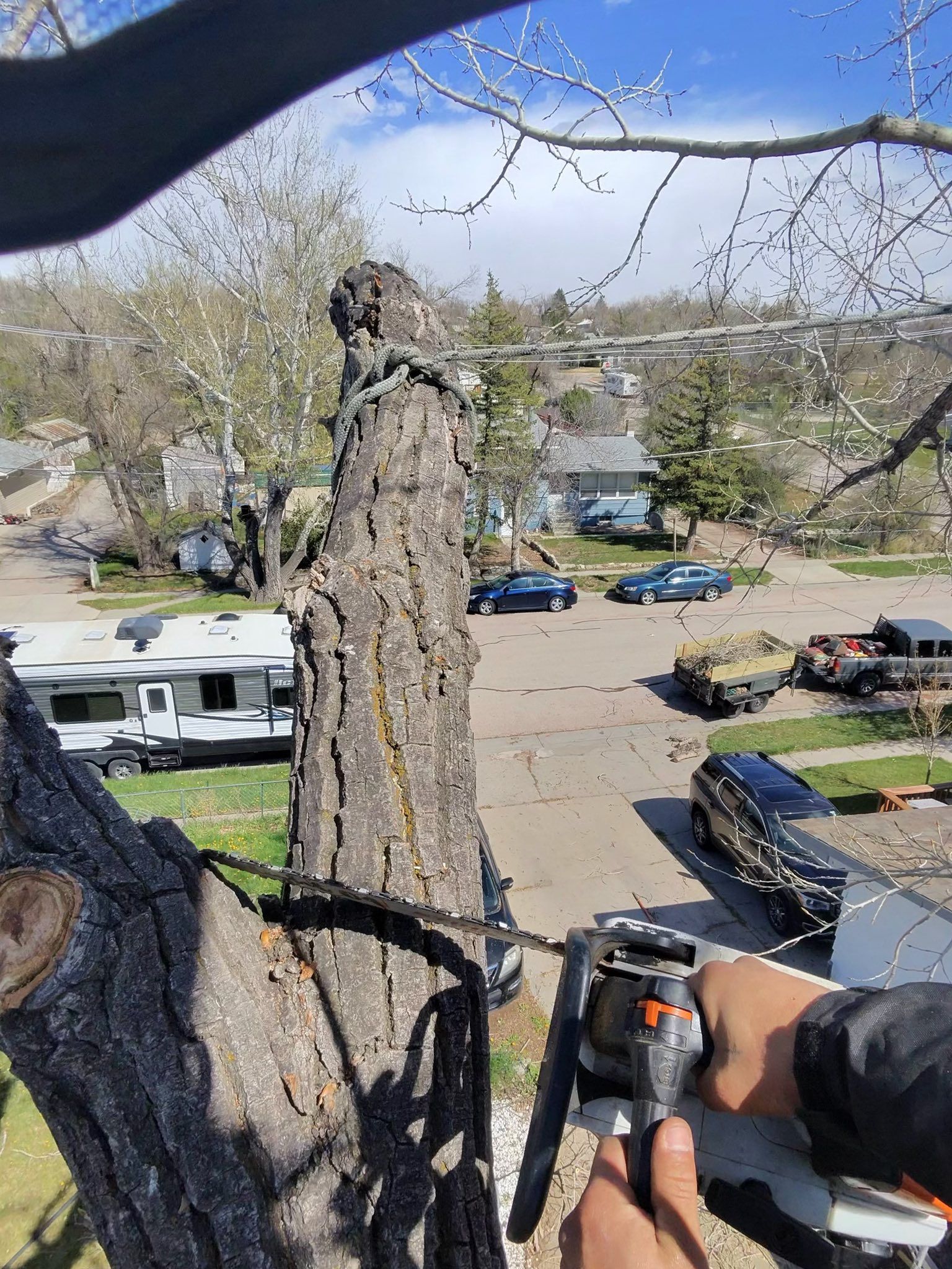 Person trimming a large tree branch with a chainsaw, overlooking a parking lot and street below.