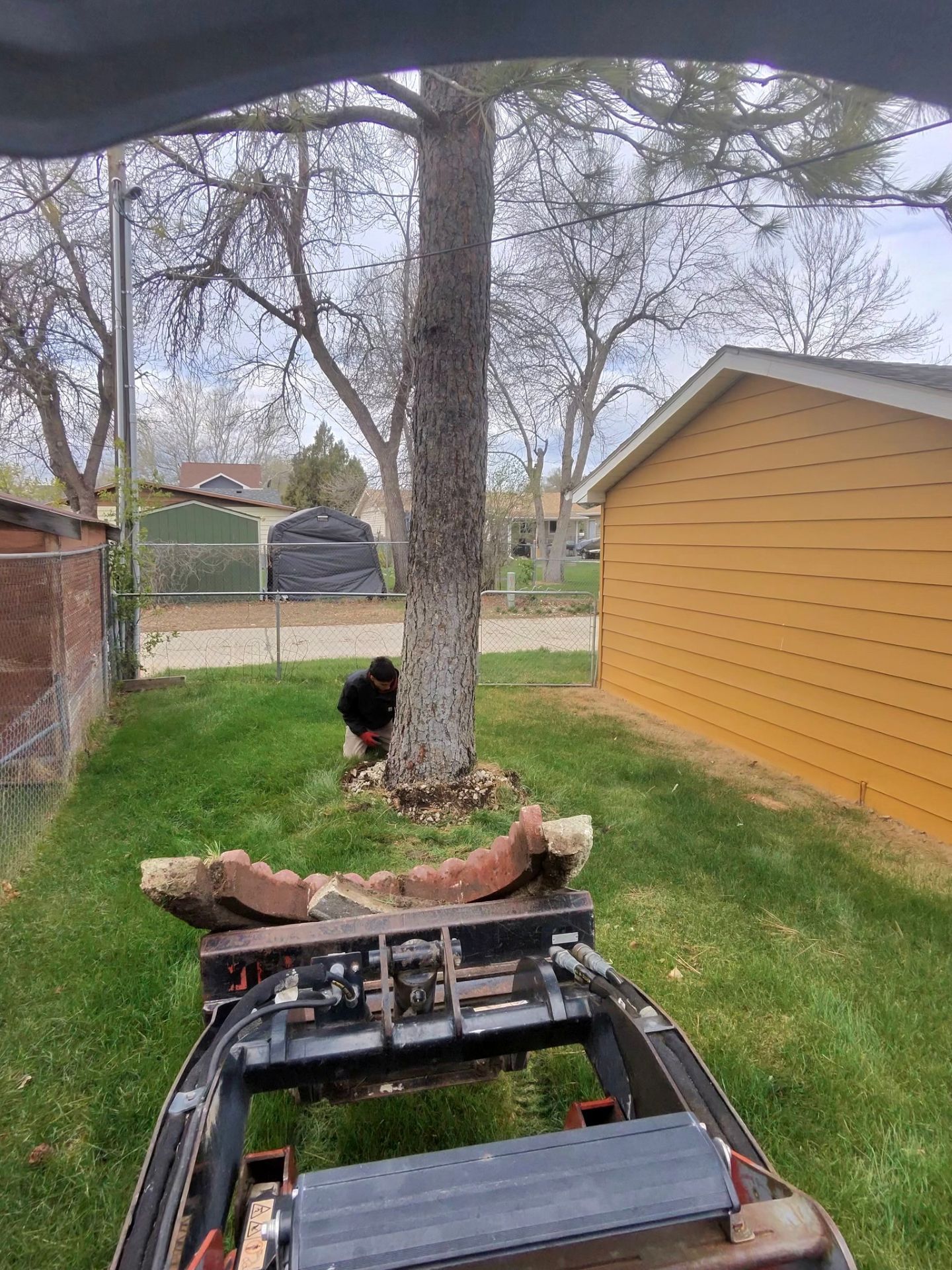 Person working near a tree stump in a yard beside a yellow shed and an exposed car frame.