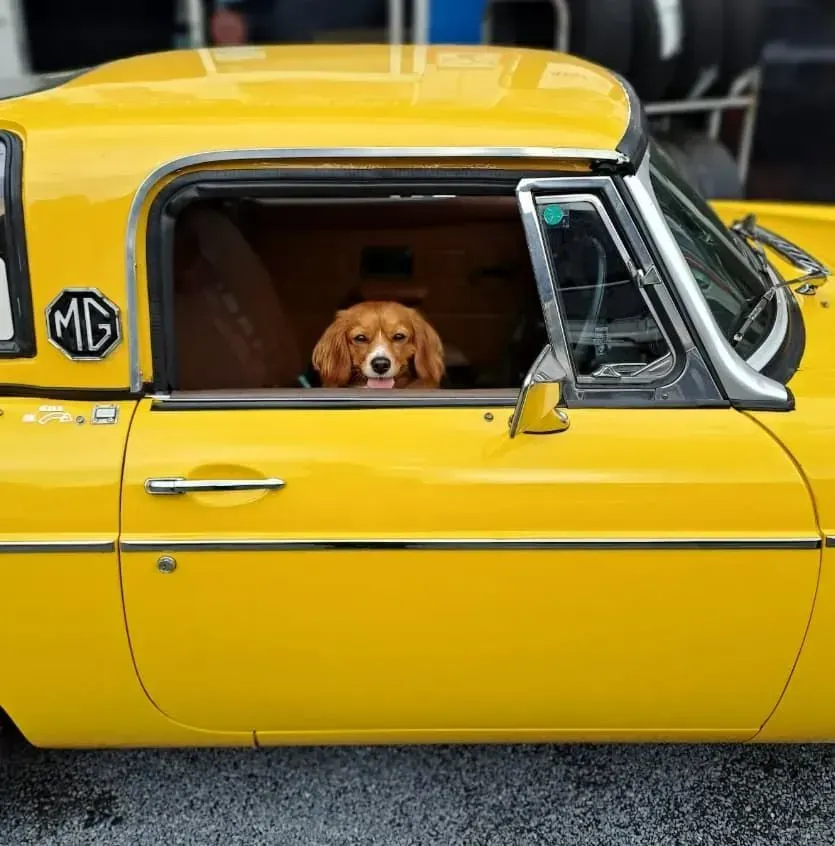 Yellow Mg Sports Car — BJM Mechanical Mufflers & Tyres in Coomera, QLD