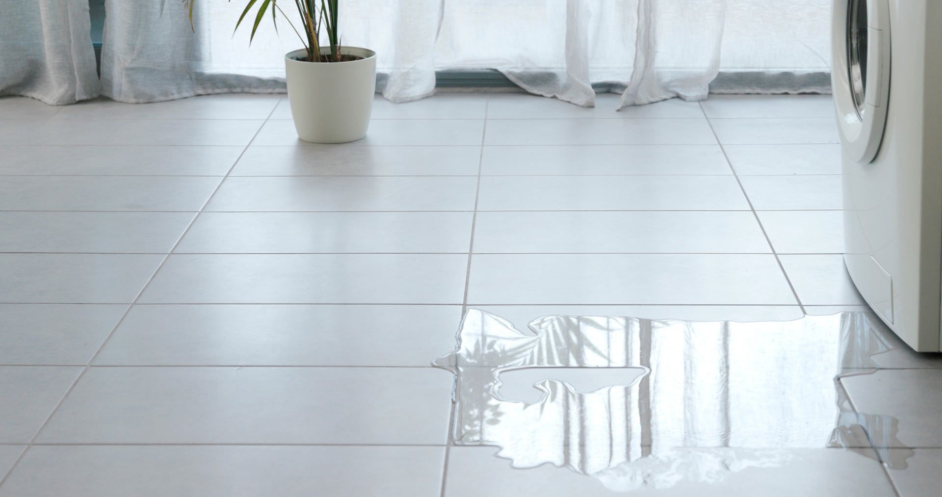 A potted plant is sitting on a tiled floor next to a washing machine.
