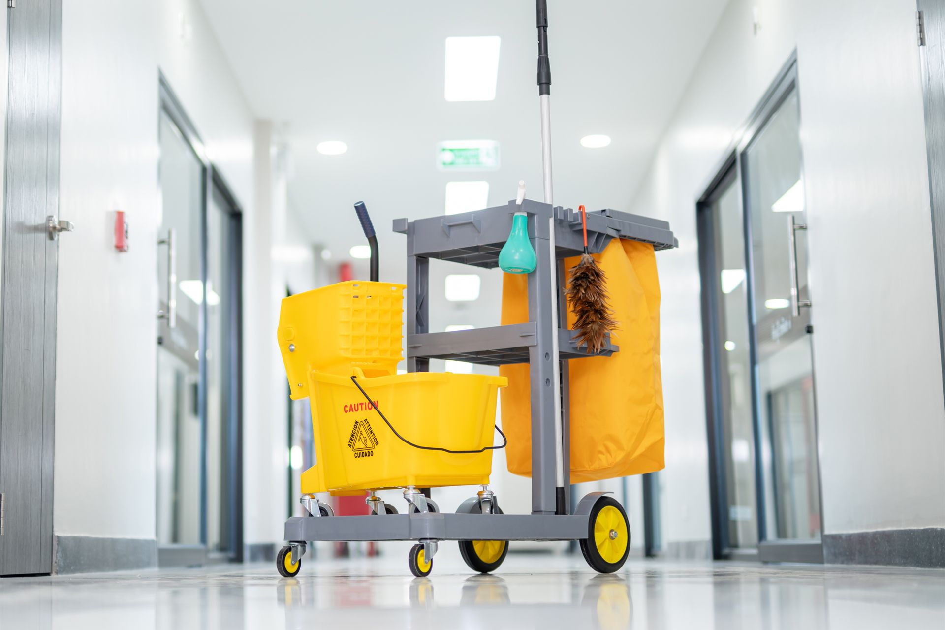 Cleaning Cart