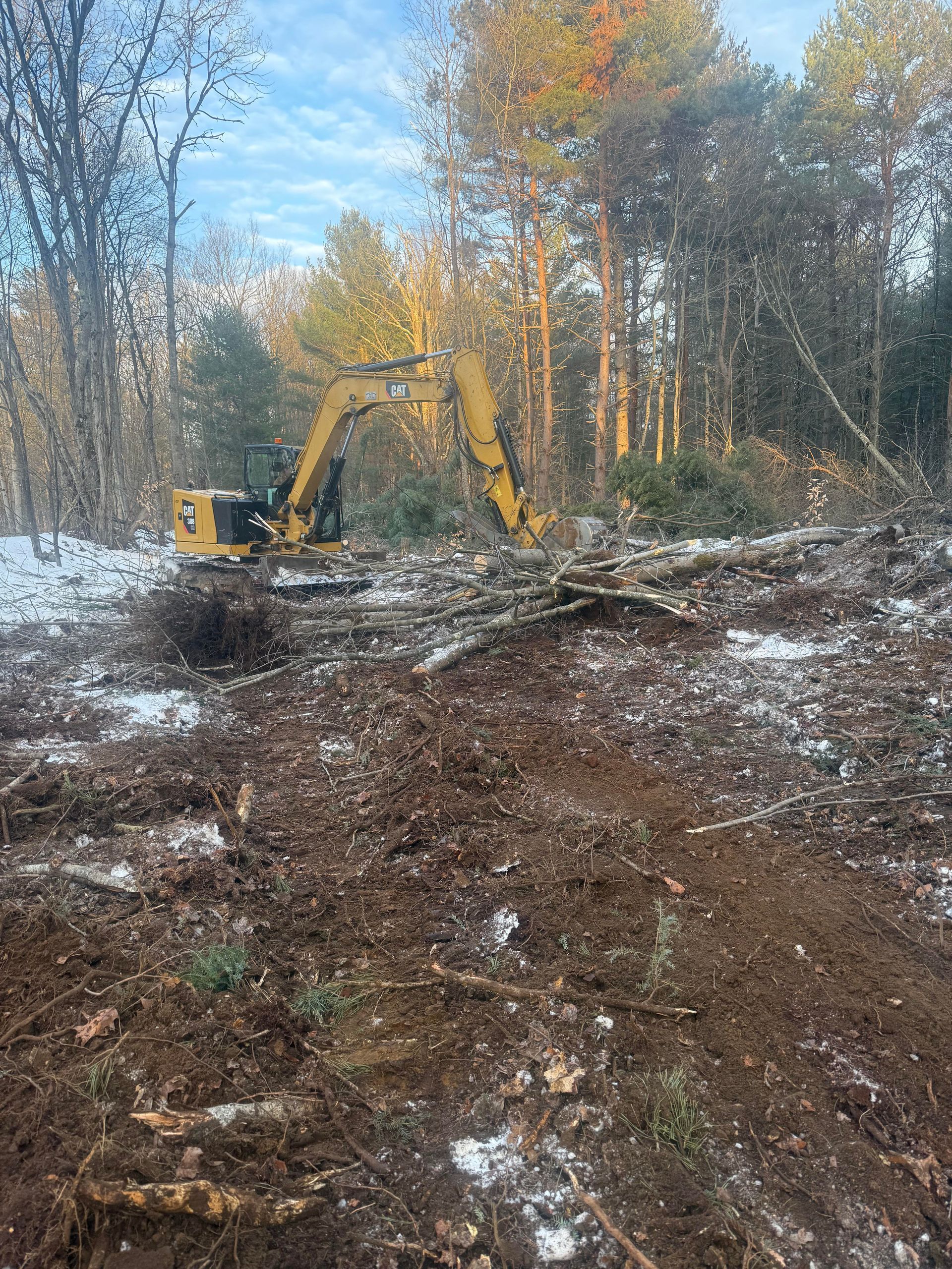Yellow excavator clearing a wooded area covered with light snow.