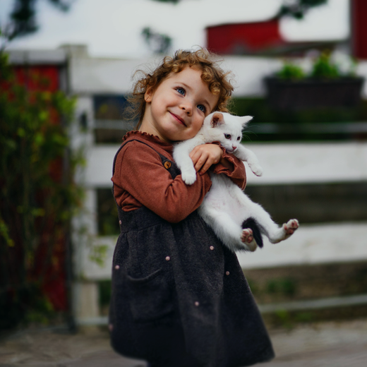 Smiling child in a brown dress holding a white kitten outdoors on steps