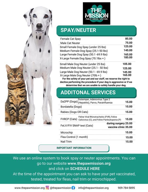 Spay/neuter pricing flyer with dog and cat beside service lists and clinic contact details