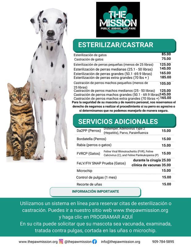 Promotional poster for pet sterilization/neutering services with a dog, cat, prices, and additional services.