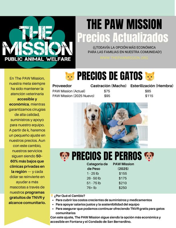 Spanish pet clinic price flyer with cat and dog pricing, teal and black layout, and a dog grooming photo