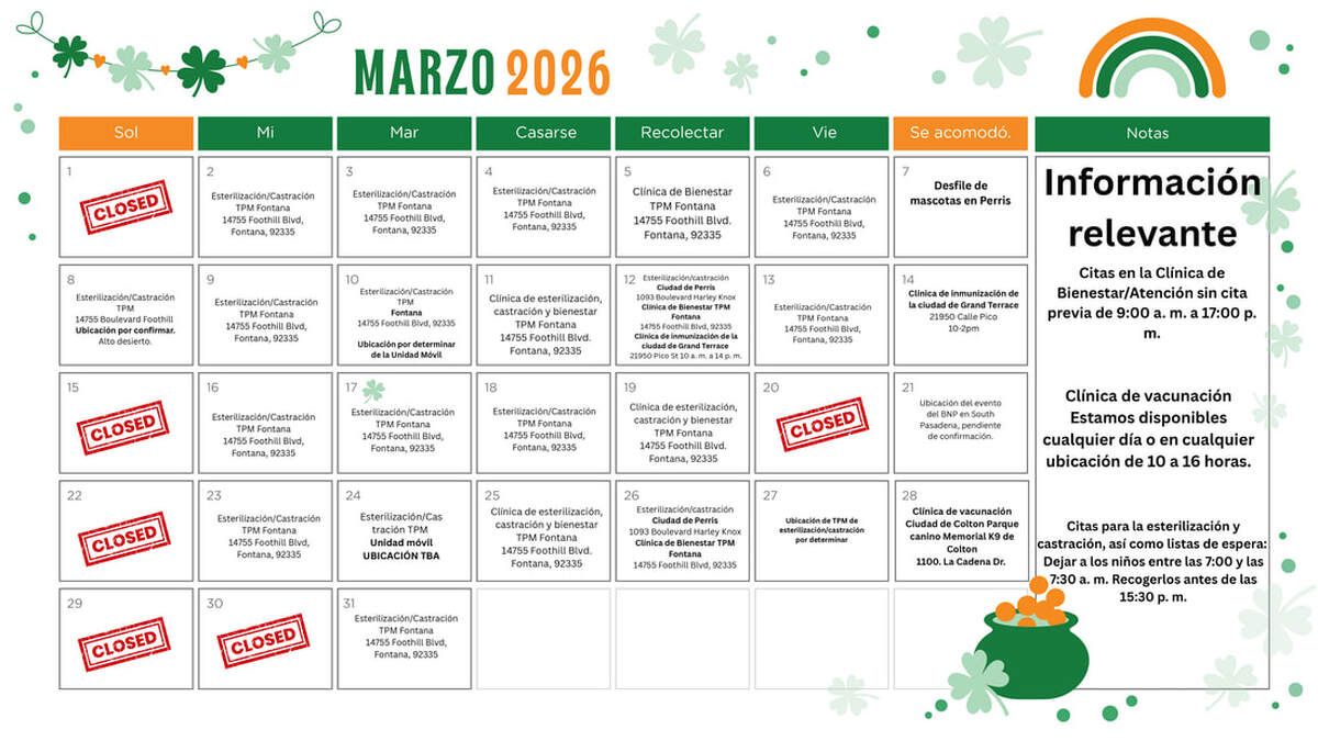 Calendario marzo 2026 con diseño verde, notas sobre información relevante y decoraciones de tréboles y arcoíris.