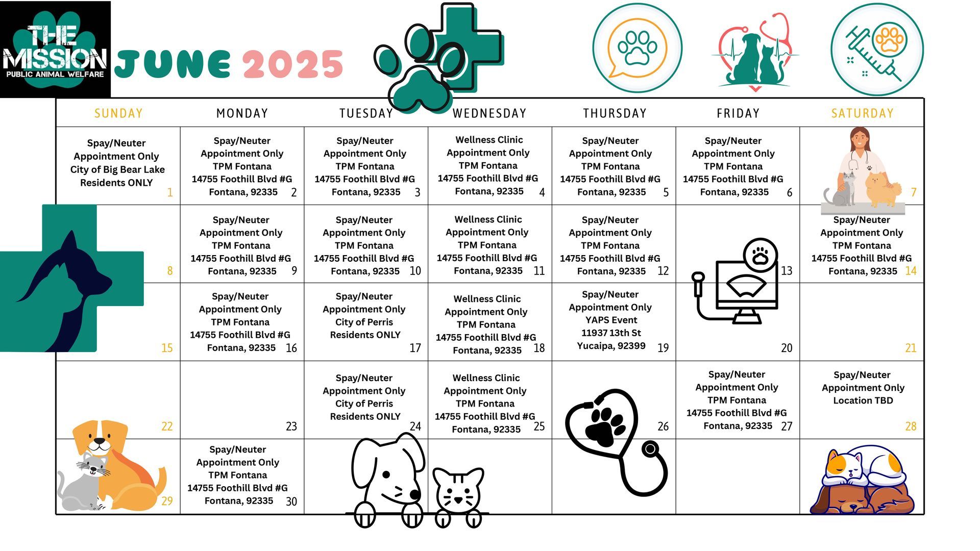 June 2025 mission calendar with weekly goals, teal and white layout, and small illustrated icons.