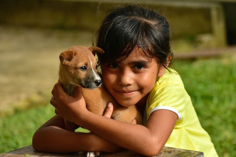 Child hugging a small brown puppy outdoors, both resting on a bench