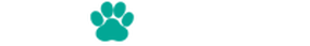 Teal paw print icon on a white background