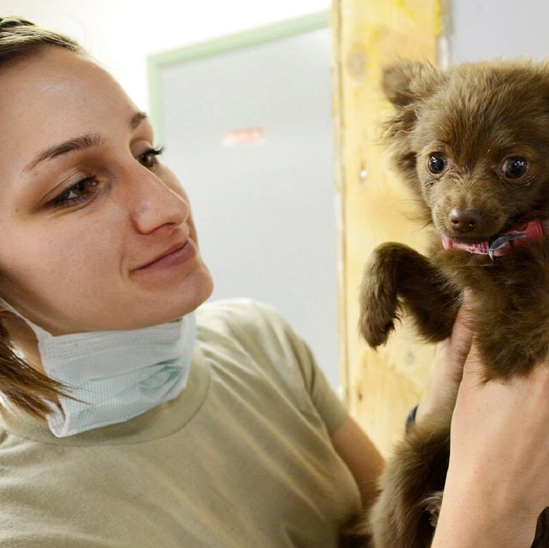 Woman holding a small brown puppy, both looking at each other indoors