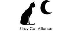 Black cat silhouette facing crescent moon above the text “Stray Cat Alliance”