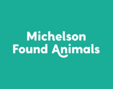 Teal title card reading “Michelson Found Animals” in white text
