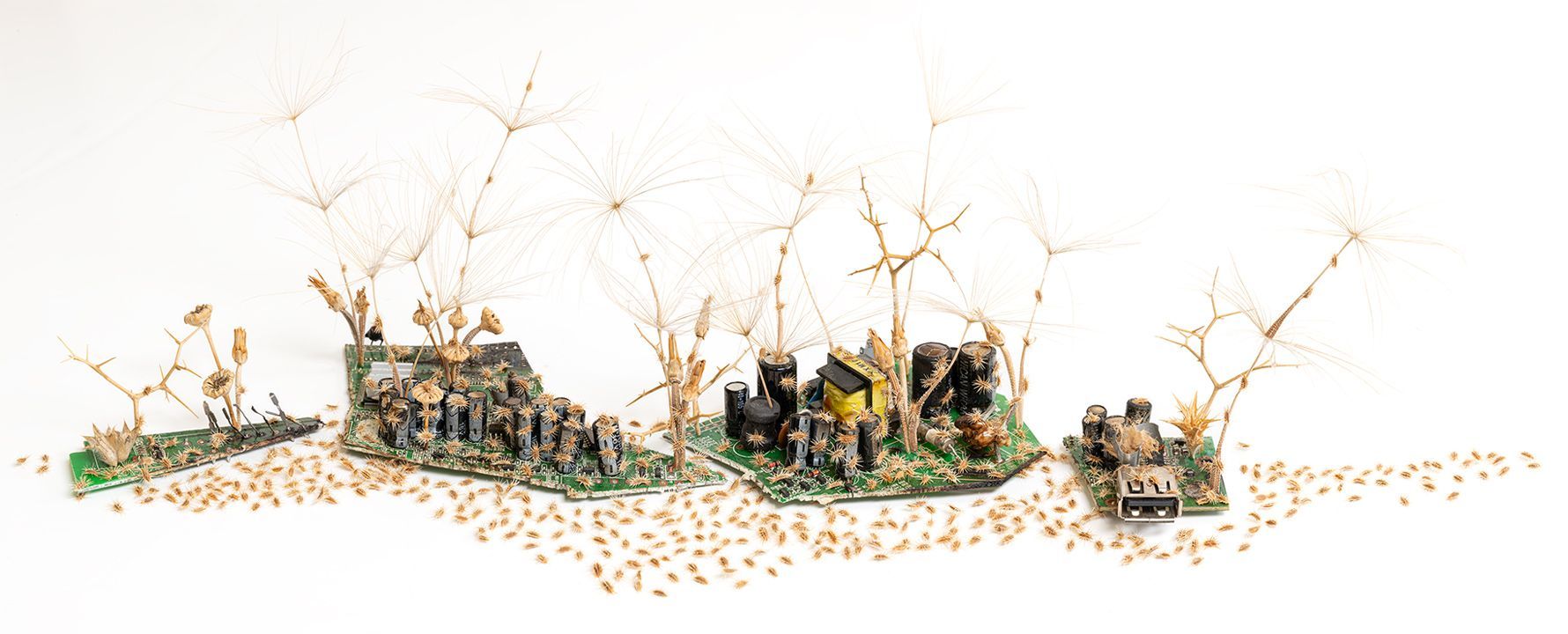 Een landschapssculptuur gemaakt van printplaten en gedroogde planten tegen een witte achtergrond.