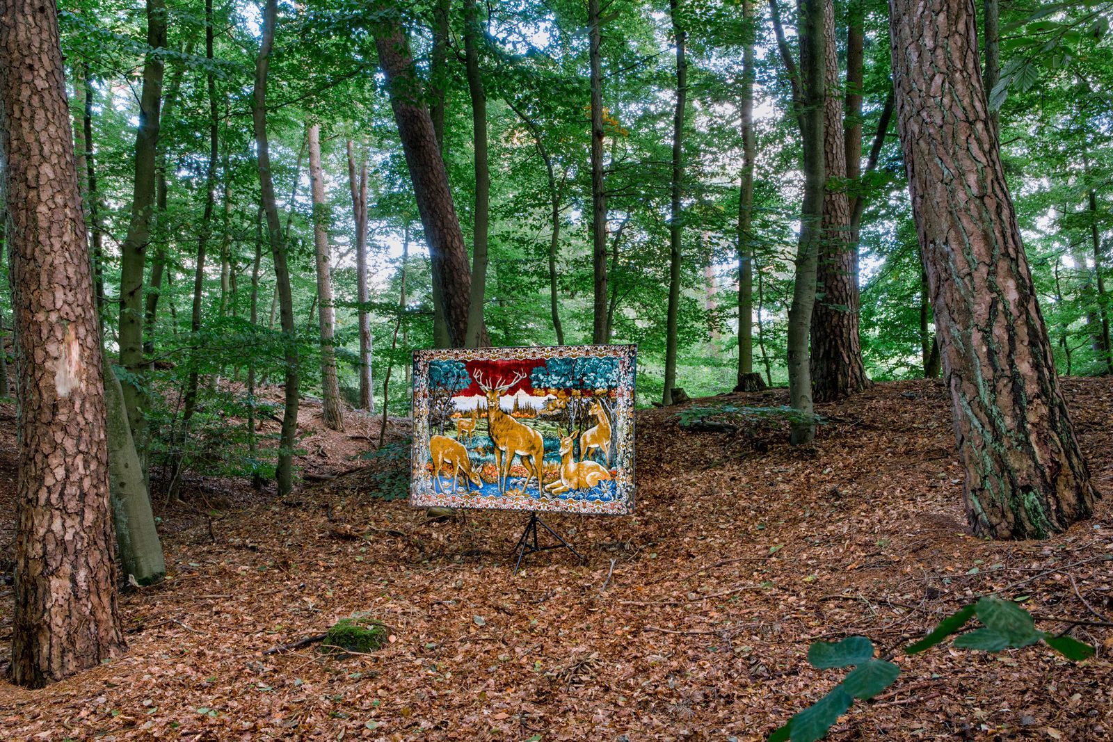 Een kleurrijk kunstwerk tentoongesteld in een bosrijke omgeving, omringd door bomen en gevallen bladeren.