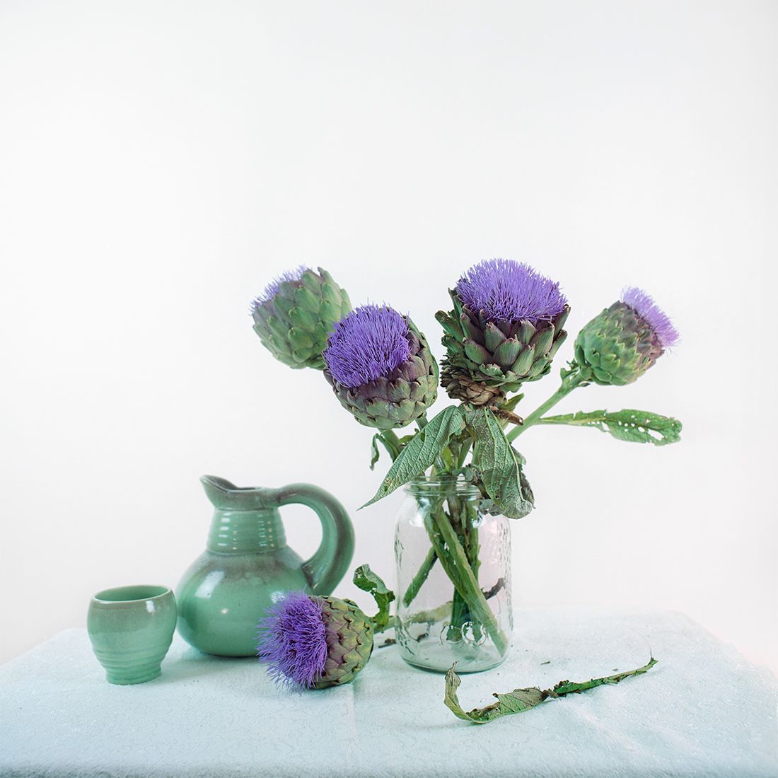 Artisjokken in een vaas, een groene kan en een kopje op een lichtblauw tafelkleed. Witte achtergrond.
