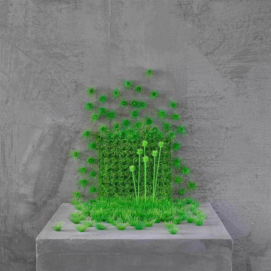 Groene plant op een betonnen blok tegen een grijze muur.