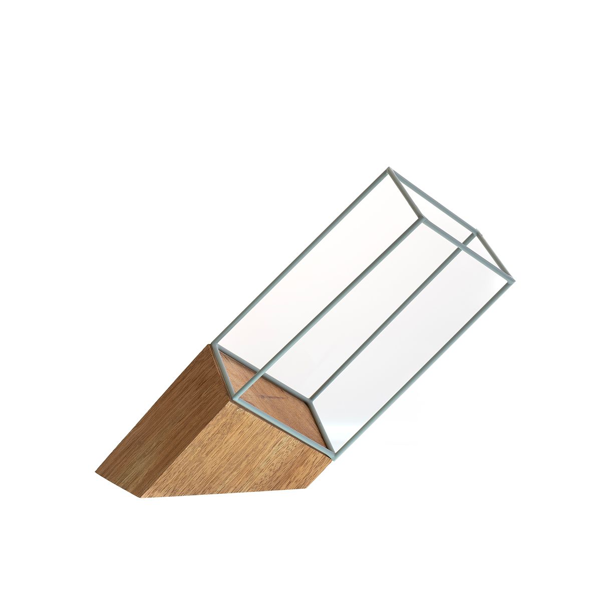 Terrarium met houten bodem en doorzichtige glazen zijkanten, schuin geplaatst.