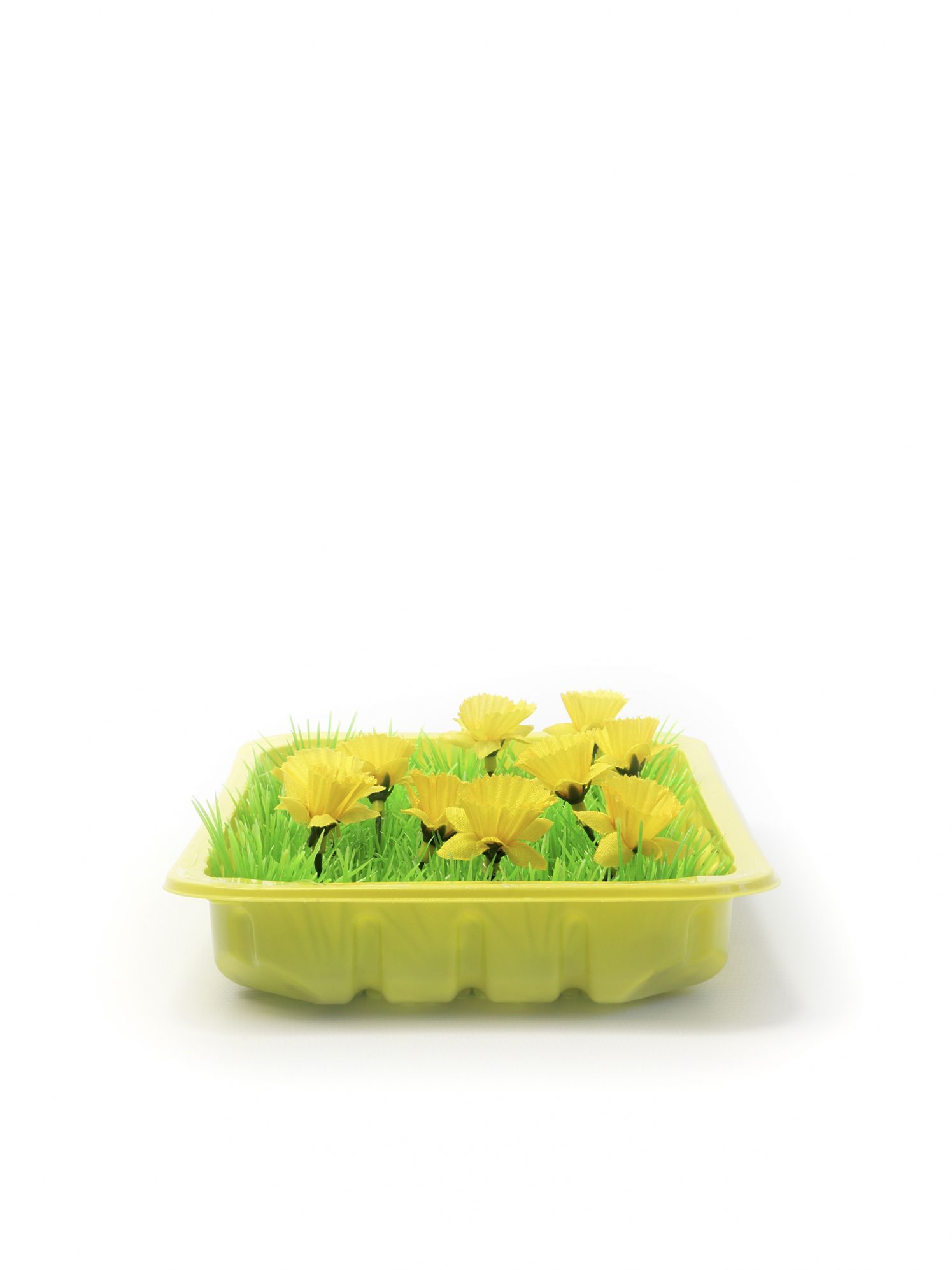 Gele bloemen in groen gras, gerangschikt in een lichtgroene rechthoekige vaas, geïsoleerd op een witte achtergrond.