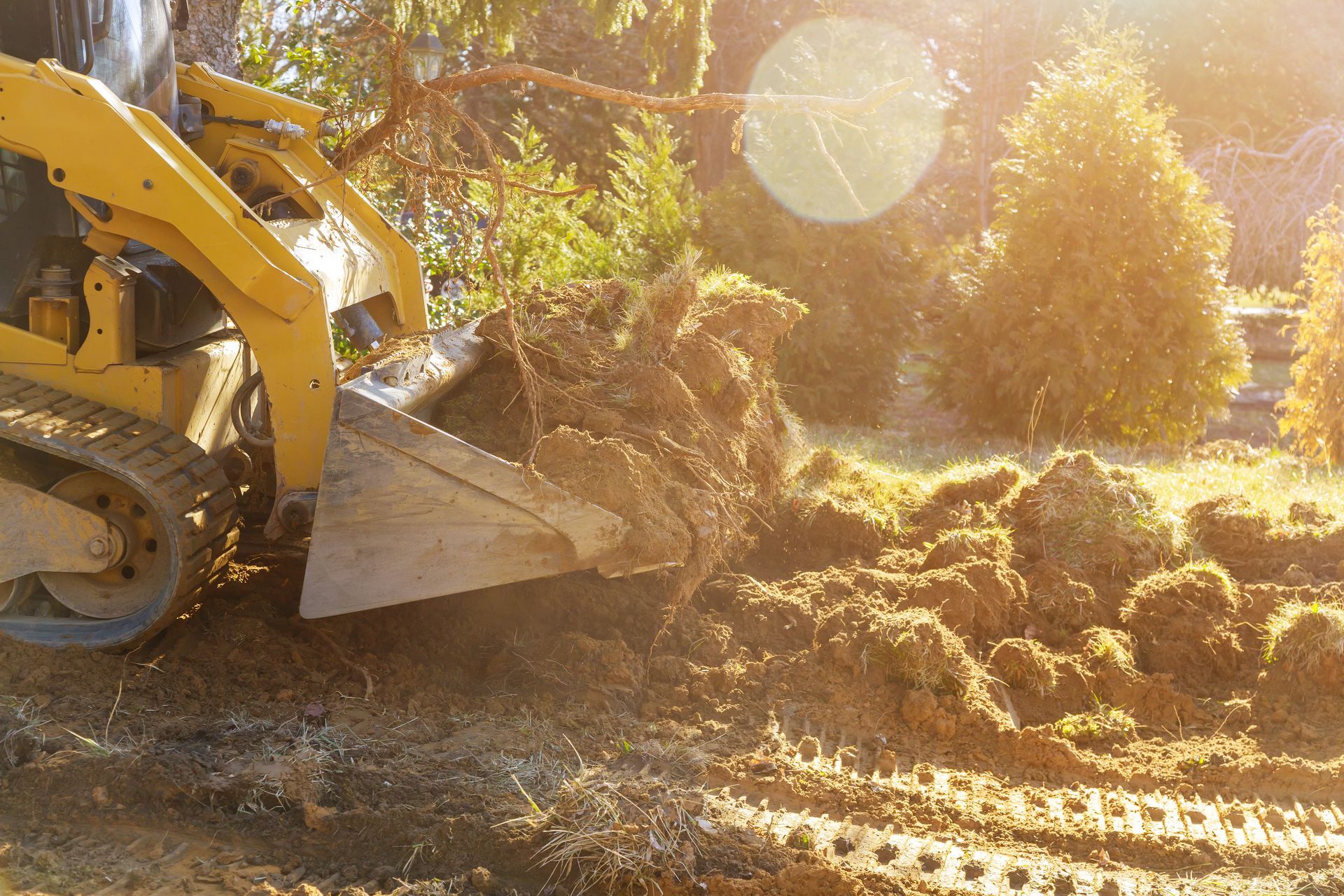 Yellow skid steer scoops dirt near trees. Sunlit setting. Yellow skid steer scoops dirt near trees. Sunlit setting.