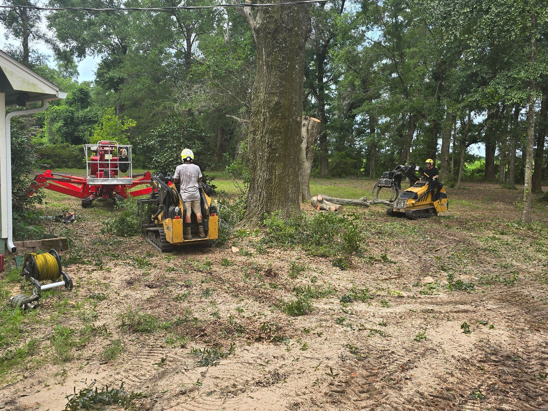 A red stump grinder grinds a tree stump in a grassy area with trees in the background. A red stump grinder grinds a tree stump in a grassy area with trees in the background.
