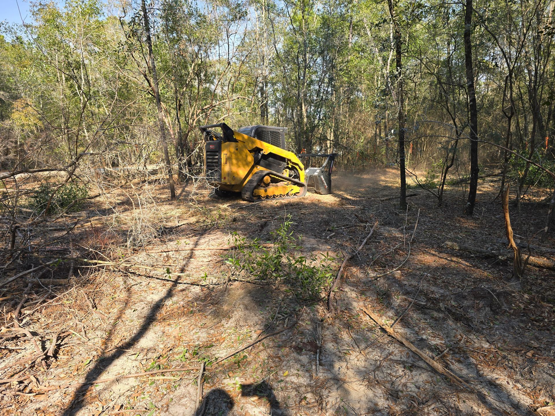 A red stump grinder is removing a large tree stump, creating wood shavings. A red stump grinder is removing a large tree stump, creating wood shavings.