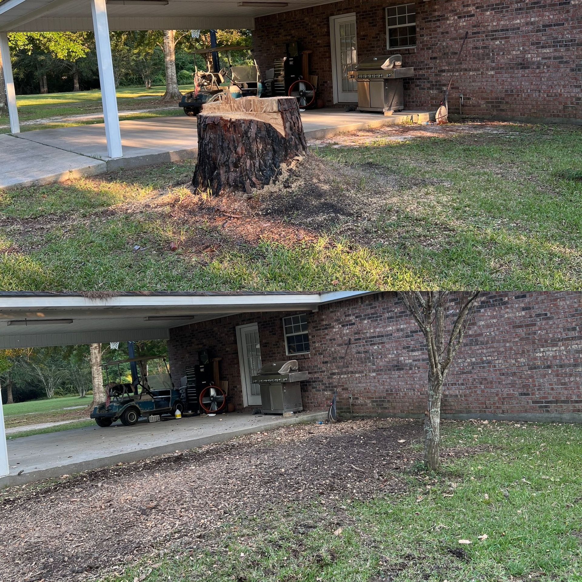 Top: Tree stump in yard near brick house. Bottom: Tree removed, revealing carport and front door.