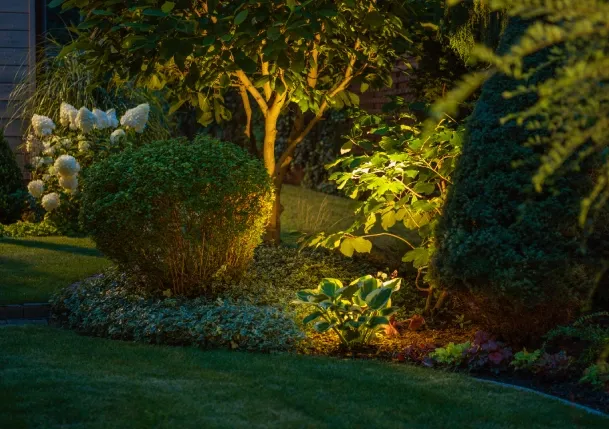 Professional landscape lighting installation in Laurel Springs, NJ