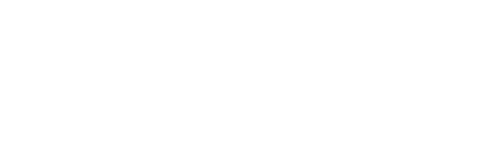 logo-image