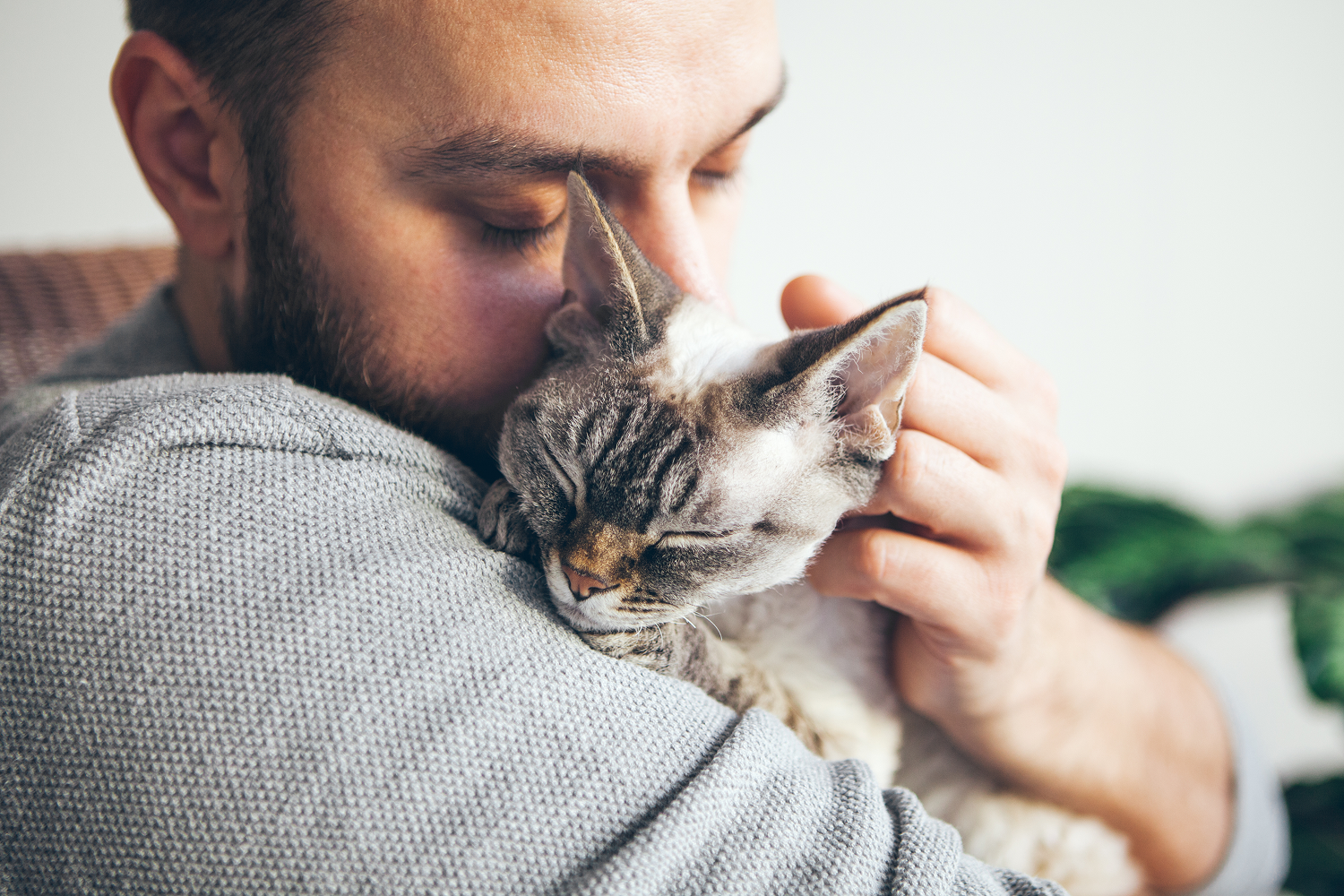 Athens Pet Cremation