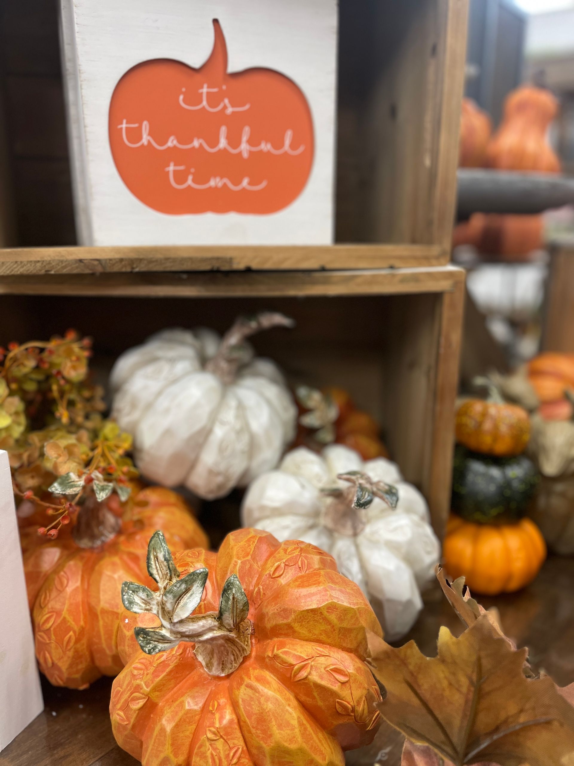 Fall-themed display: pumpkins, 