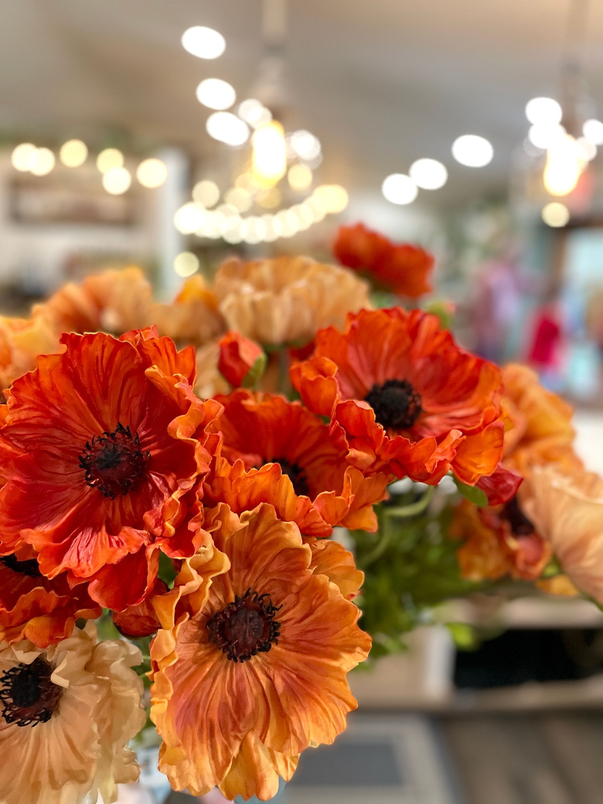 Orange and peach flowers with dark centers, blurry background of lights.