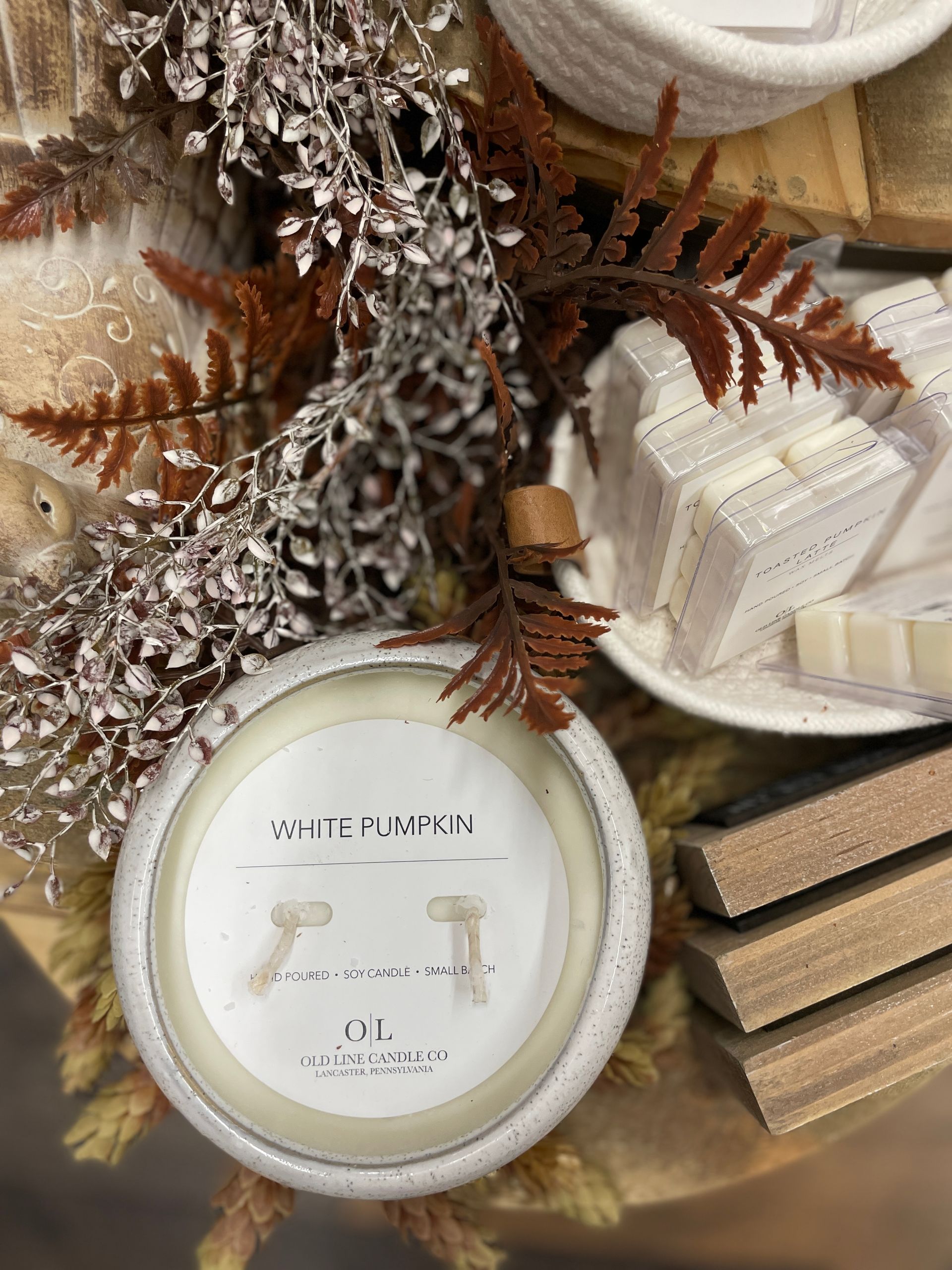 A candle, faux foliage, and wax melts on display. Earth tones, speckled ceramic, and dried plants are featured.