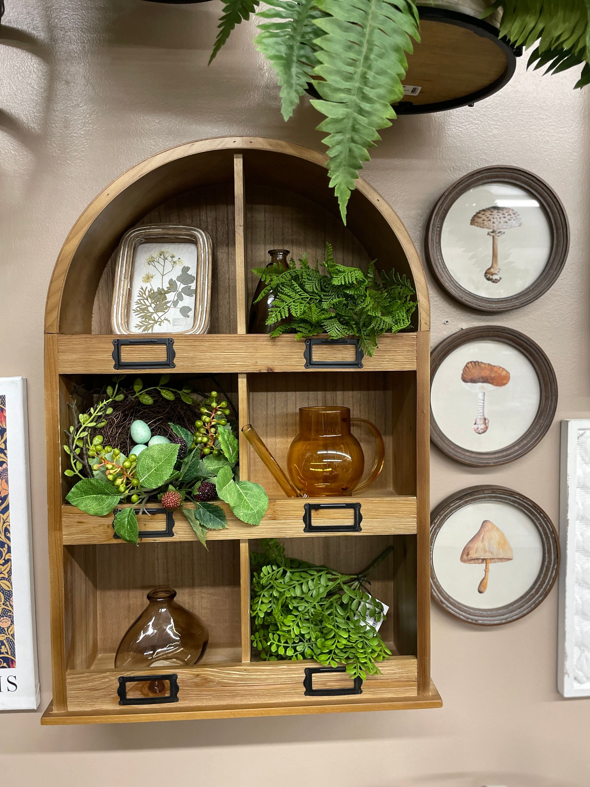 Wooden arched shelf with various plants and decorative items, and mushroom art.