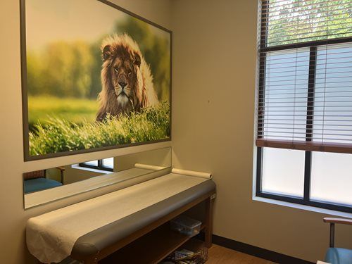 A doctor's examination room featuring a large framed print of a lion above an exam table and a window with blinds.